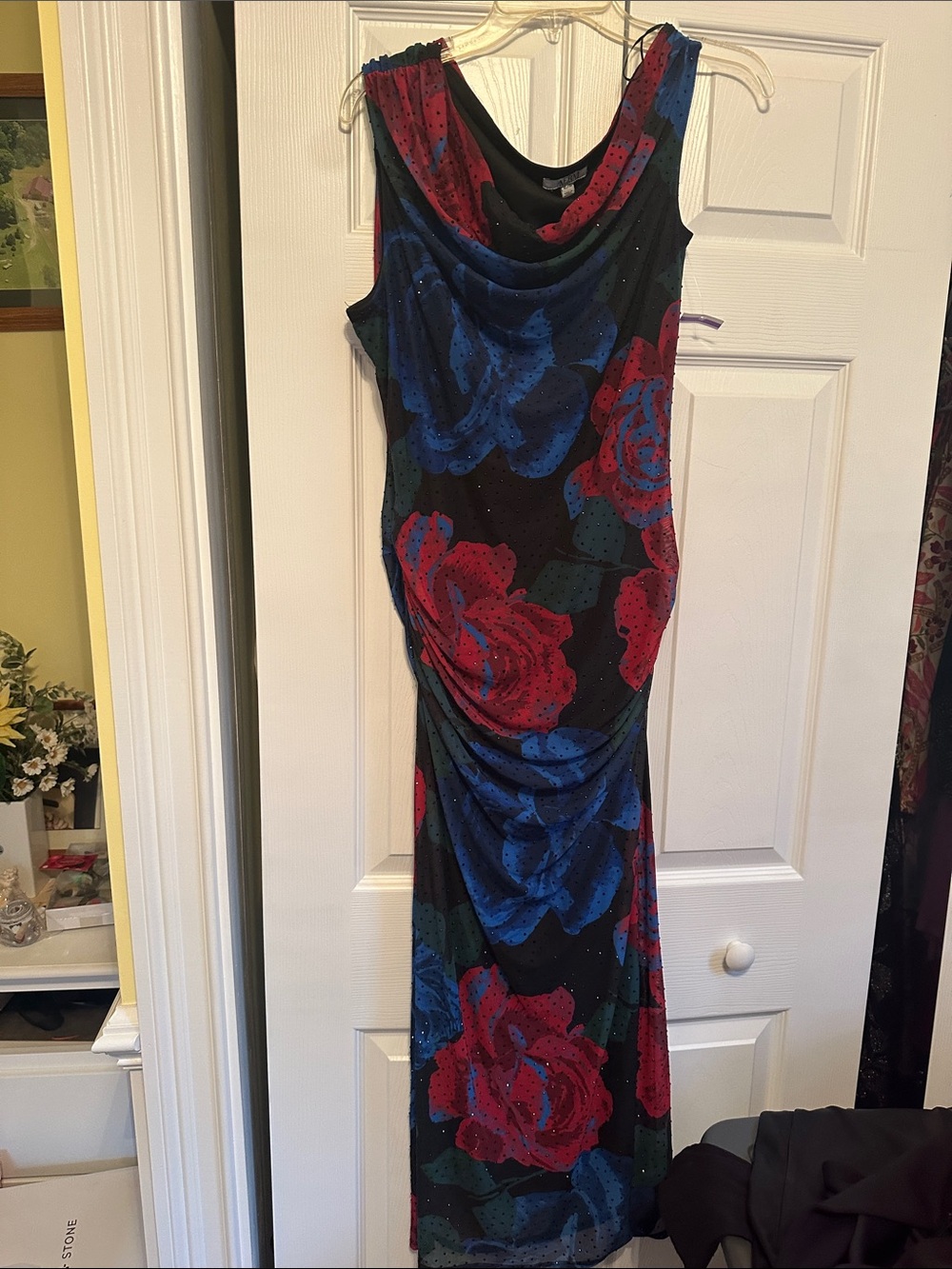 AFRM Black Maxi Dress with Red & Blue Rose Print